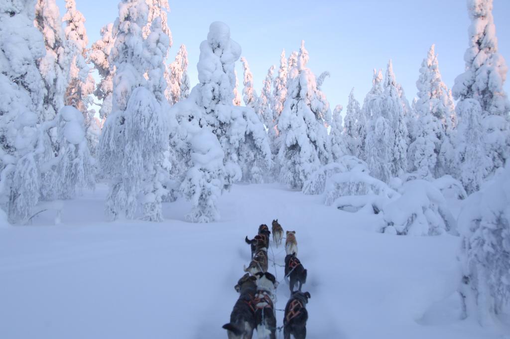 Guesthouse Husky Ivalo Exteriör bild