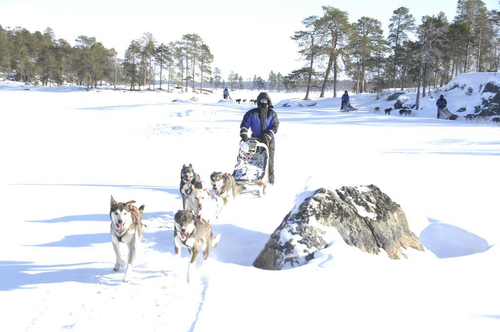 Guesthouse Husky Ivalo Exteriör bild